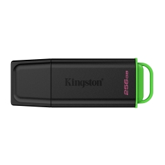 Флешка USB Kingston DTXG2, 256GB, Черный+розовый
